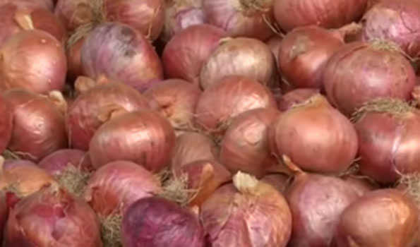 Centre Bans Onion Export Till March 2024 To Keep Inflation In Check   2023 12$largeimg08 Dec 2023 203831473 