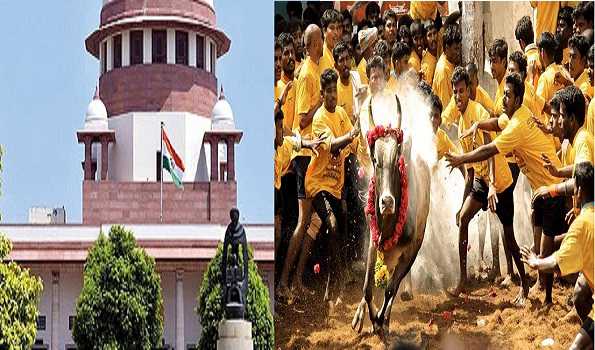 Five judge Constitution bench of SC in its verdict affirms TN law allowing Jallikattu