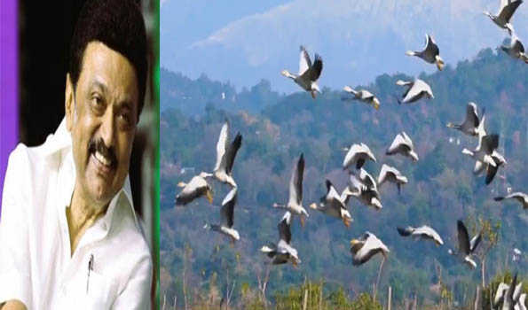 Two more TN Bird sanctuaries in Ramsar sites : Stalin