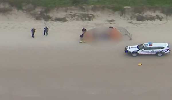 17-yr-old girl killed in shark attack at Australian beach