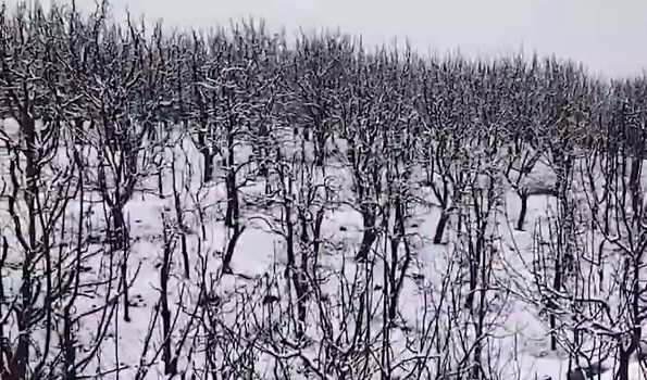 After week-long wet spell, weather improves in Kashmir