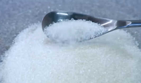 Sugar industry experts submit White Paper to Govt