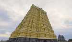 TN: Devotee from Rajasthan waiting in darshan queue in Rameswaram temple dies