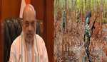 Central govt is moving forward with ruthless approach against Naxalites: Amit Shah